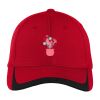 Pique Colorblock Cap Thumbnail